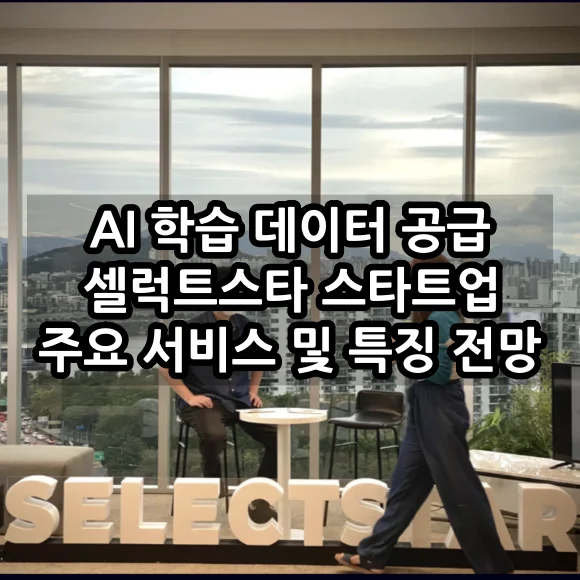 AI 학습 데이터 공급 셀렉트스타 스타트업 주요 서비스 및 특징 전망