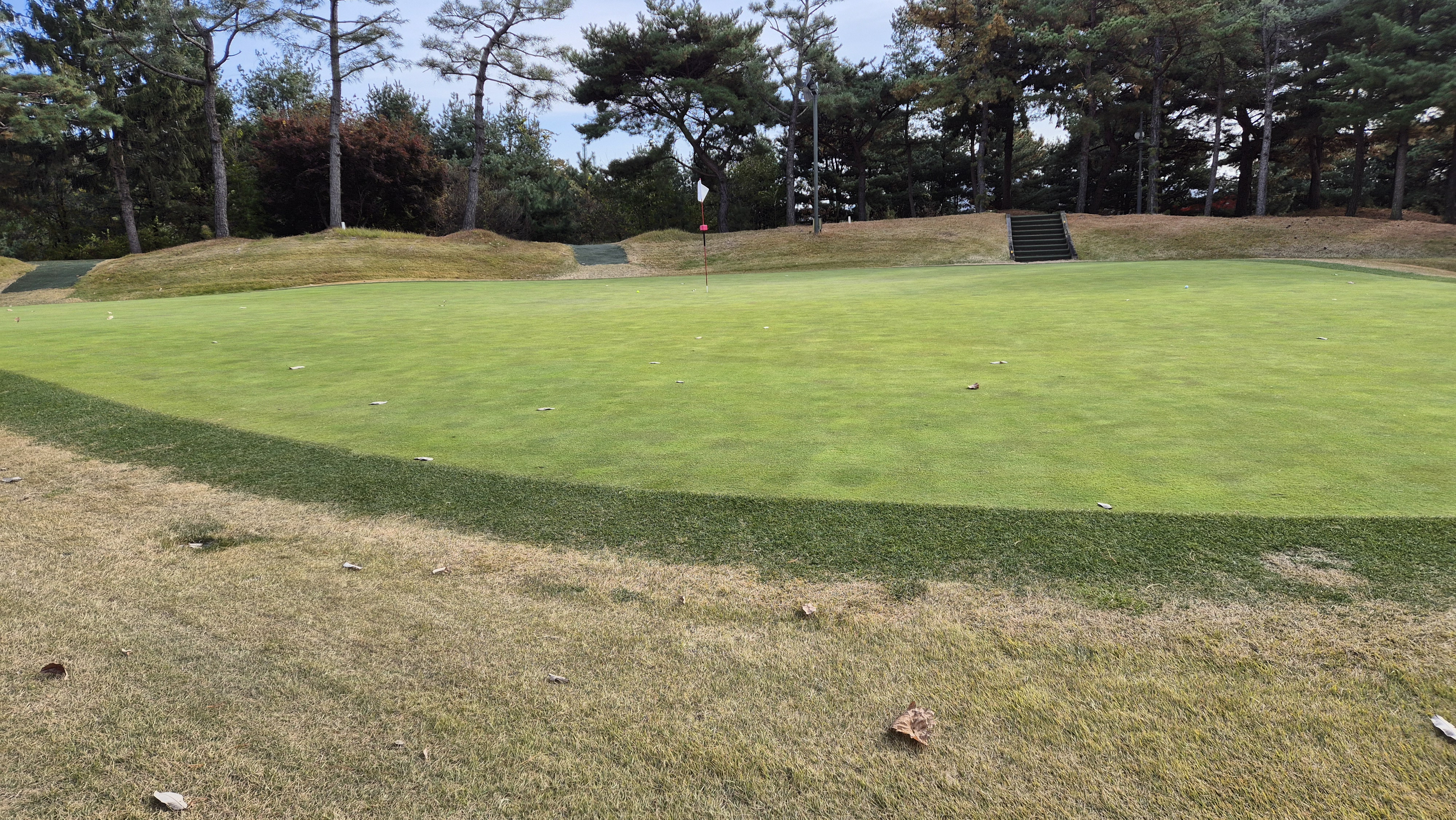 세종에머슨cc 밸리-마운틴 그린빠르기 및 난이도