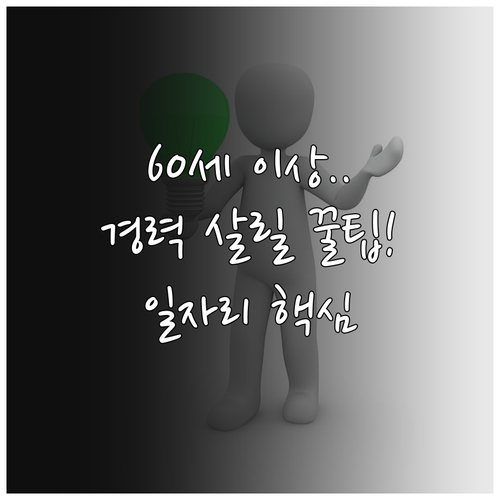 만 60세 이상 경력 활용 노인일자리..