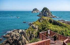 2024 오륙도 투나잇 걷기 대회 기본일정과 프로그램 소개