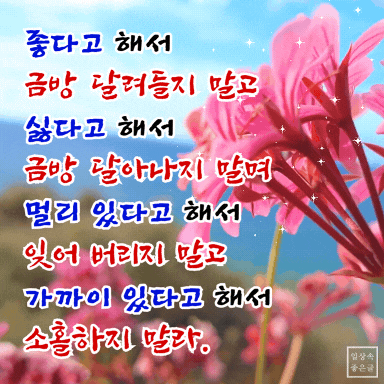 분홍빛 꽃 배경에 ‘좋다고 해서 달려들지 말고, 가깝다고 소홀하지 말라’는 문구