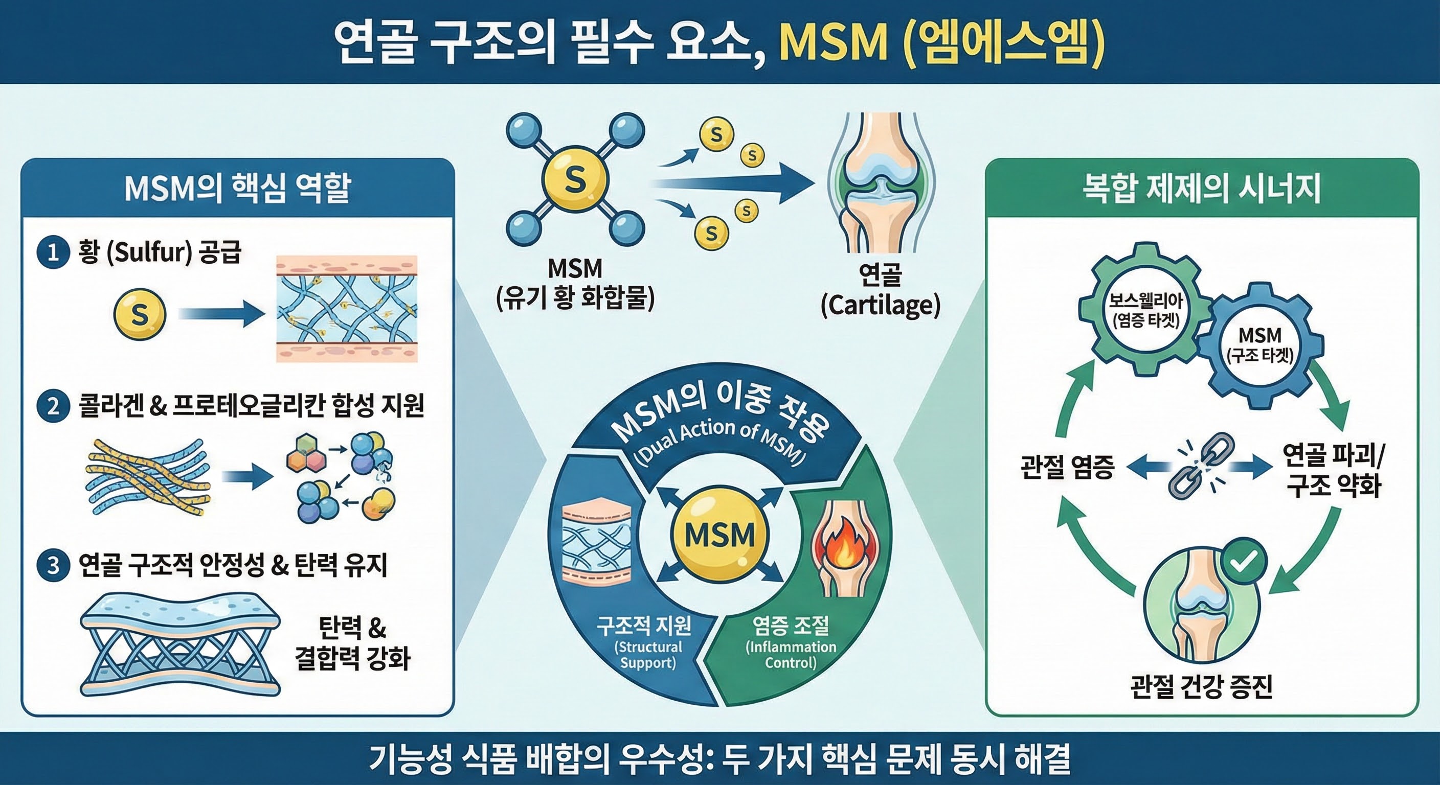 연골 구조의 필수 요소, MSM (엠에스엠): 콜라겐 합성을 돕는 황 성분