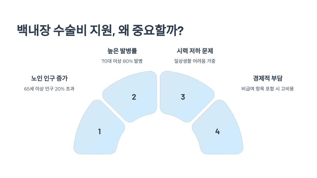 백내장 수술비 지원, 왜 중요할까?