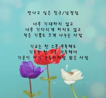 친구가 없어요 그래서 외롭다고 느낄 때와 친구에 관한 우정 명언을 알아보는 내용_11