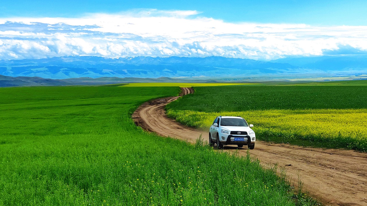 자동차 여행 떠나기 전 꼭 챙겨야 할 준비물