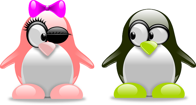 심리학적 연인간 갈등 관련 사진