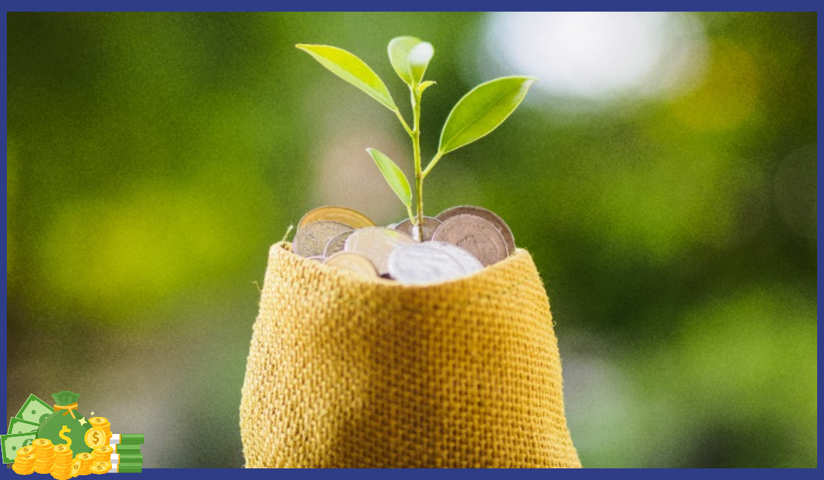 고향사랑기부제 연말정산