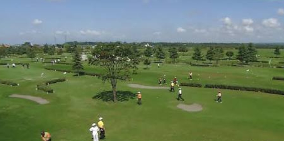 서울 파크골프장 TOP 7 / 입문자부터 시니어까지 추천 코스 총정리