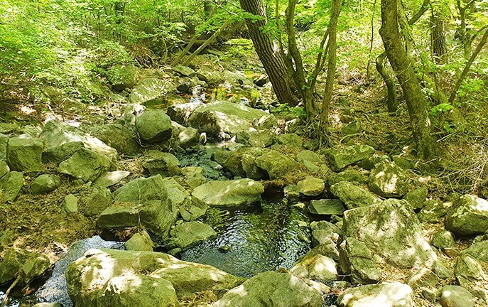 2025/2026 무주덕유산리조트 스키장 시즌권 렌탈 할인 완벽 가이드