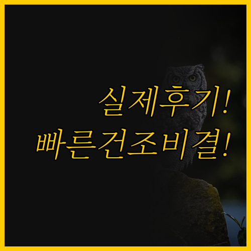 실제 후기로 확인한 휴대용 의류 건조..