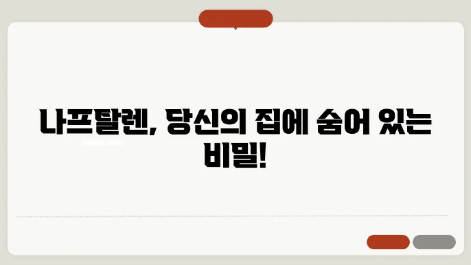 나프탈렌