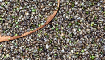 햄프씨드 효능 : 소화