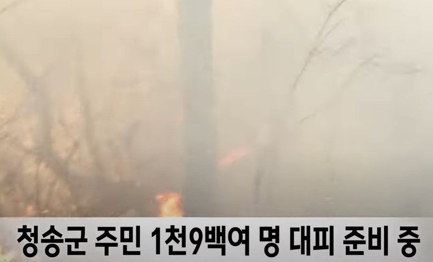 의성 산불