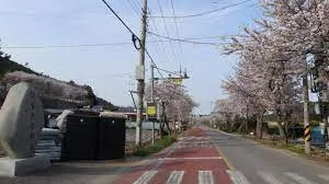 2024년 벚꽃 개화시기 및 벚꽃 명소 BSET 10