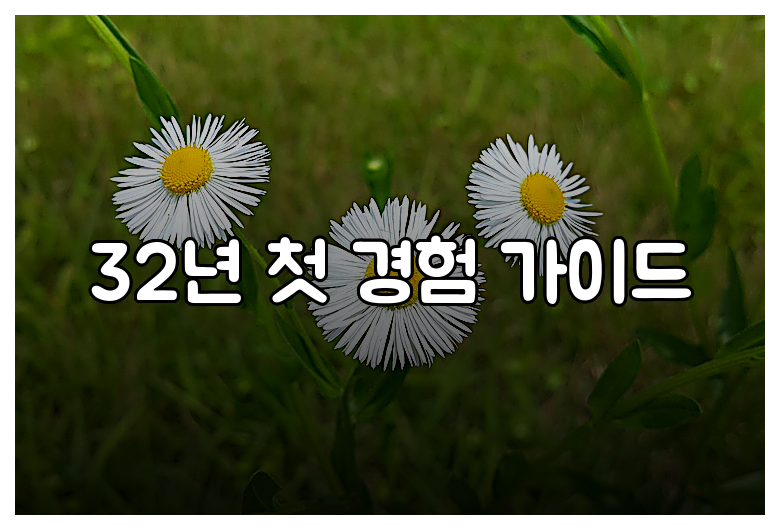 32년 첫 경험 가이드