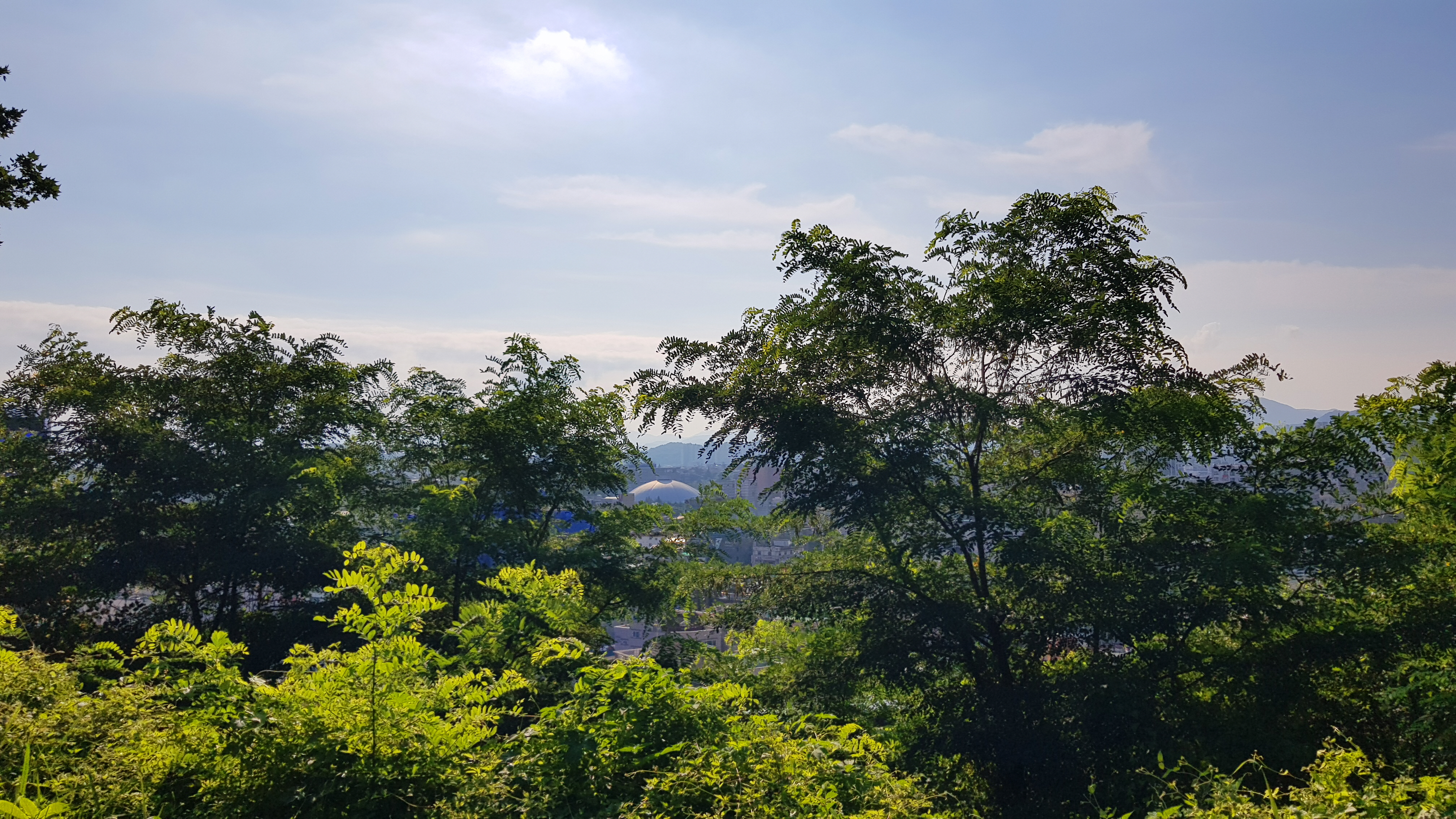사진 중앙에 전주 실내체육관이 보인다.