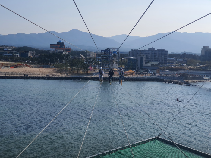 생생정보 강릉 택시맛객