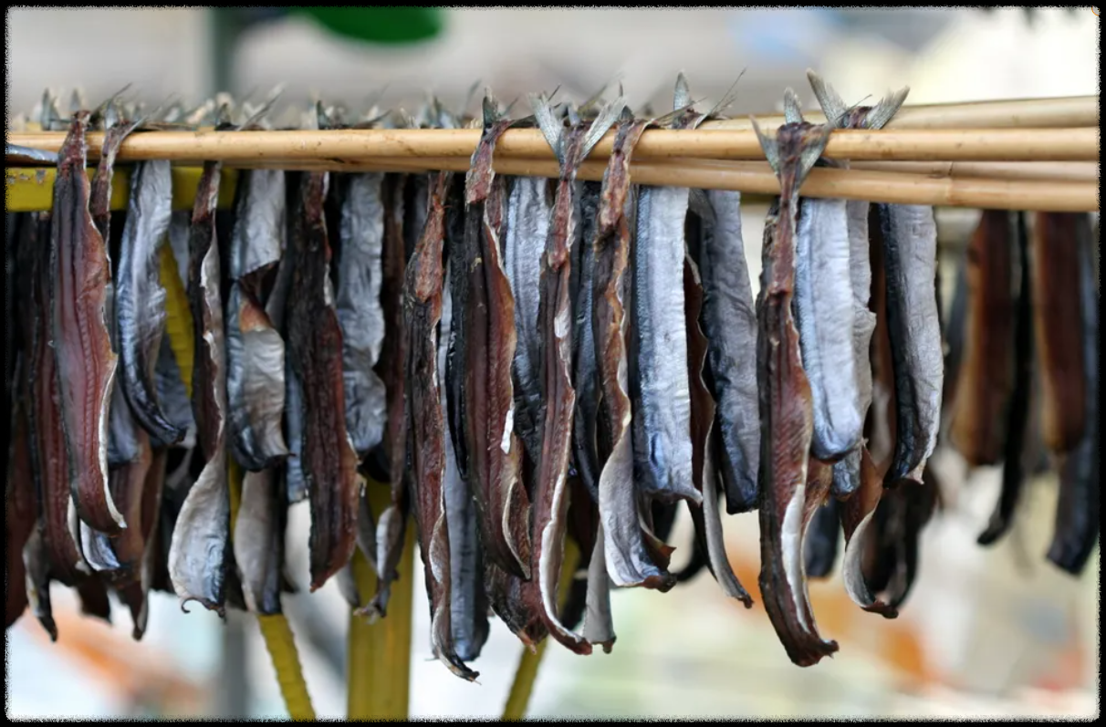 과메기 제철 구룡포 과메기 맛있게 먹는 법