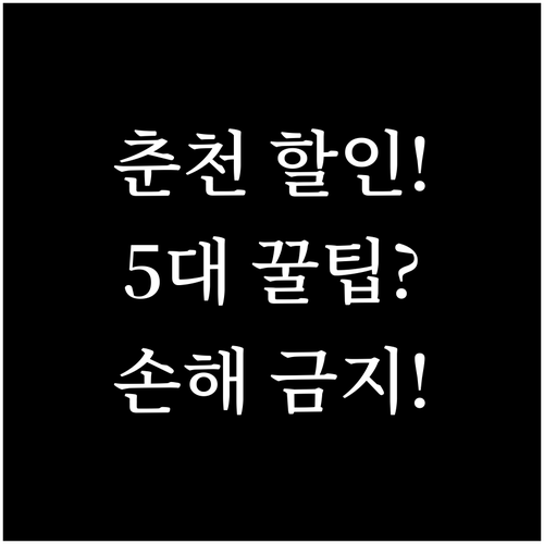 2025년 춘천 막국수닭갈비축제 5대..