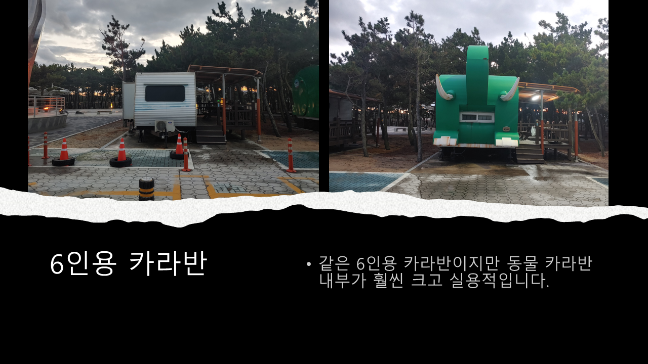 영덕 고래불 6인용 카라반 외부 모습
