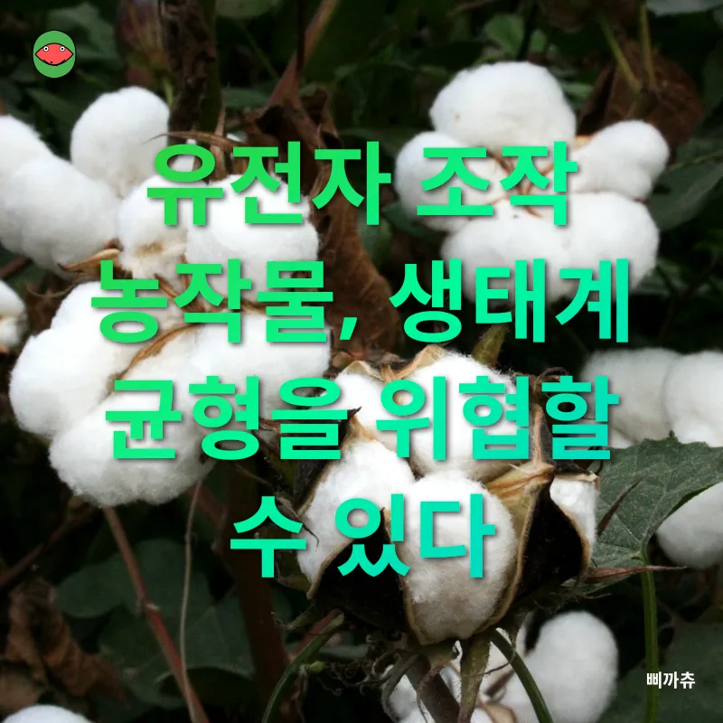유전자 조작 식품_1