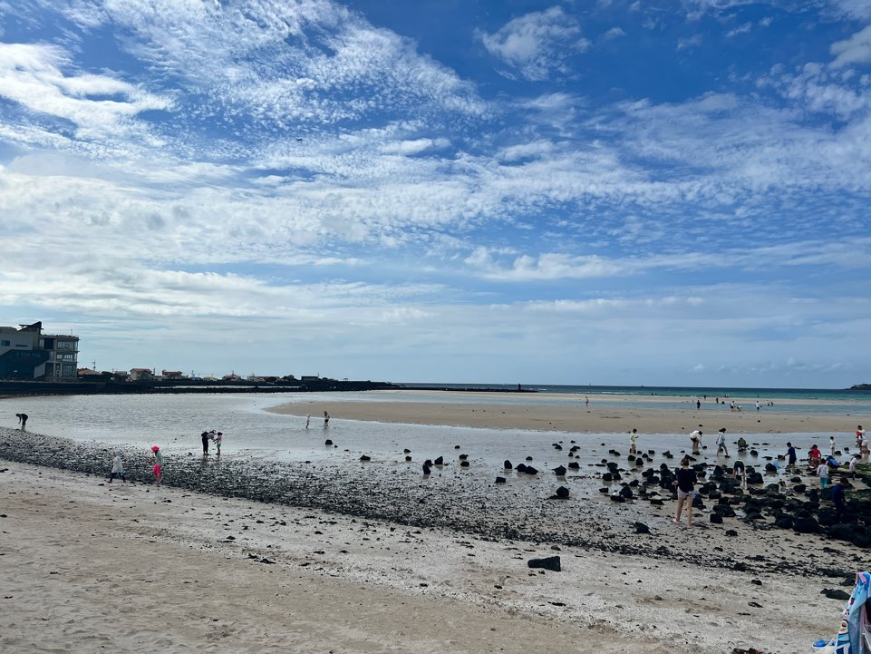 제주 맛집 기내반입 9월 10월 11월 날씨 여행지 추천 수화물 제주 렌터카 셔틀버스 최저가 비교사이트 제주 렌터카 최저가 비교사이트 할인 제주도 렌터카 할인