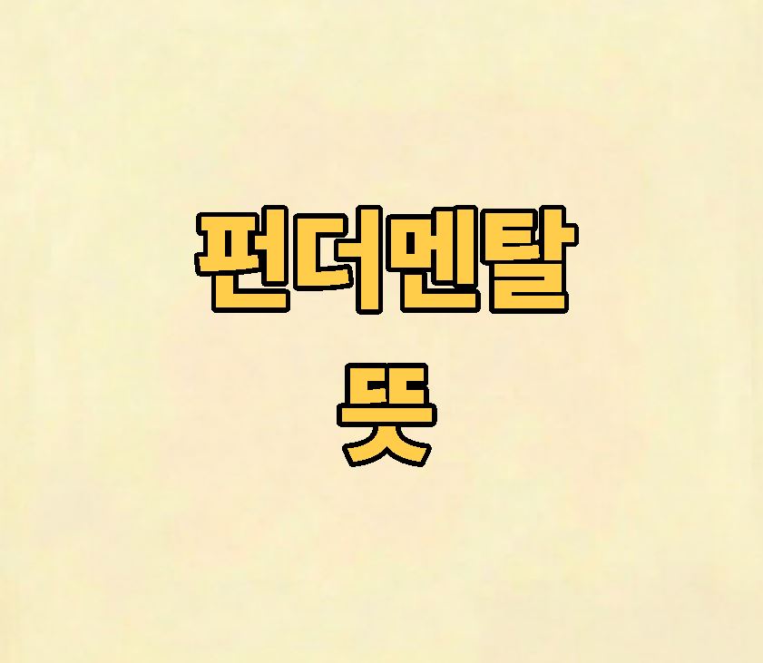 펀더멘탈 뜻 쉽게 정리