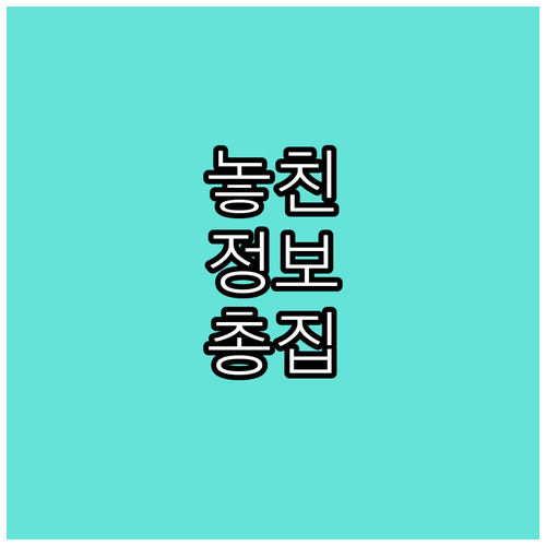 내 차는 안전할까 자동차 성능 검사 