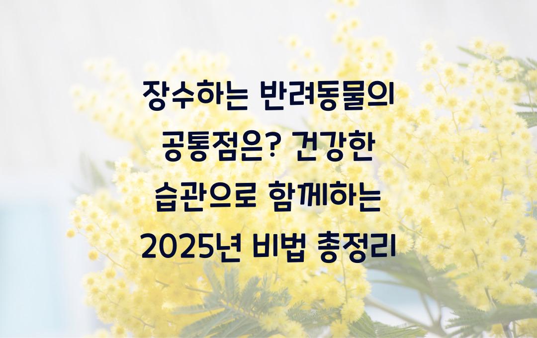 장수하는 반려동물의 공통점은? 생활 습관 총정리