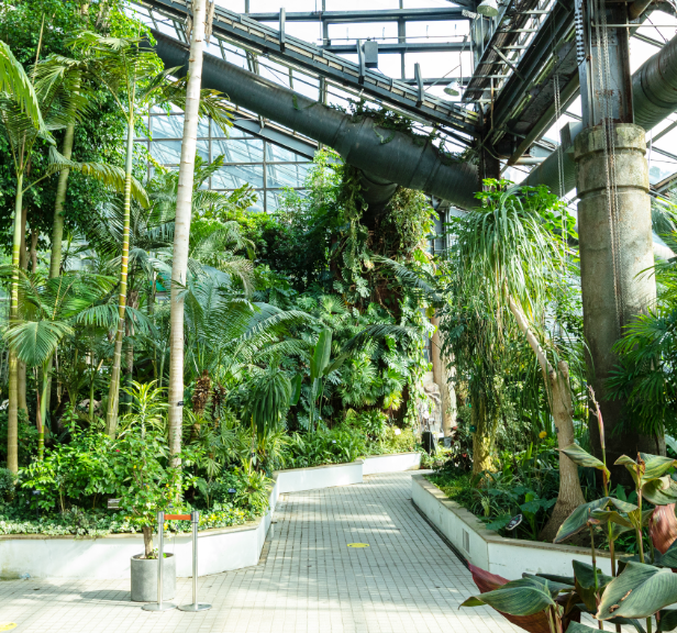 서울 대공원 식물원