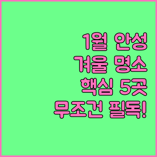 1월 안성 명소 5곳 정리 겨울철 방..