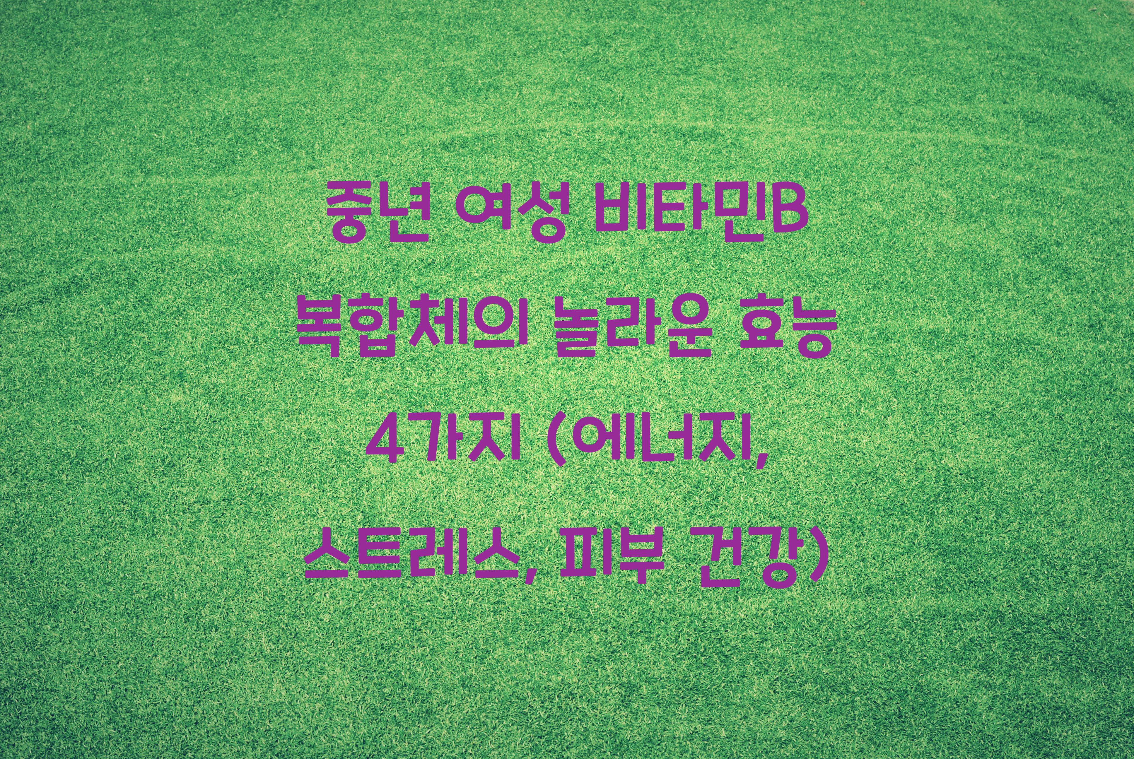 중년 여성 비타민B 복합체