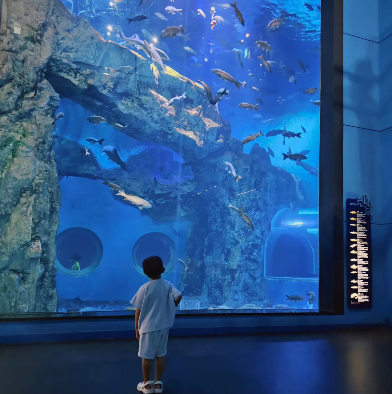 단양 여행 1박2일 코스