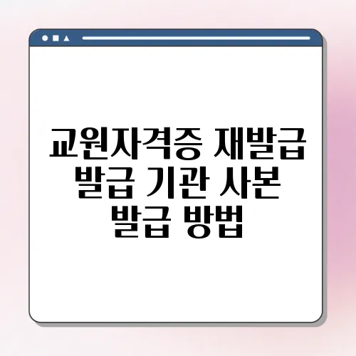 교원자격증 재발급 발급 기관 사본 발급 방법