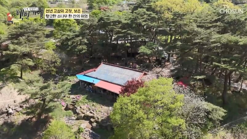 식객 허영만의 백반기행 299회 정일우의 보은 밥상 충북 보은 자연산 버섯전골 맛집 구병산골가든