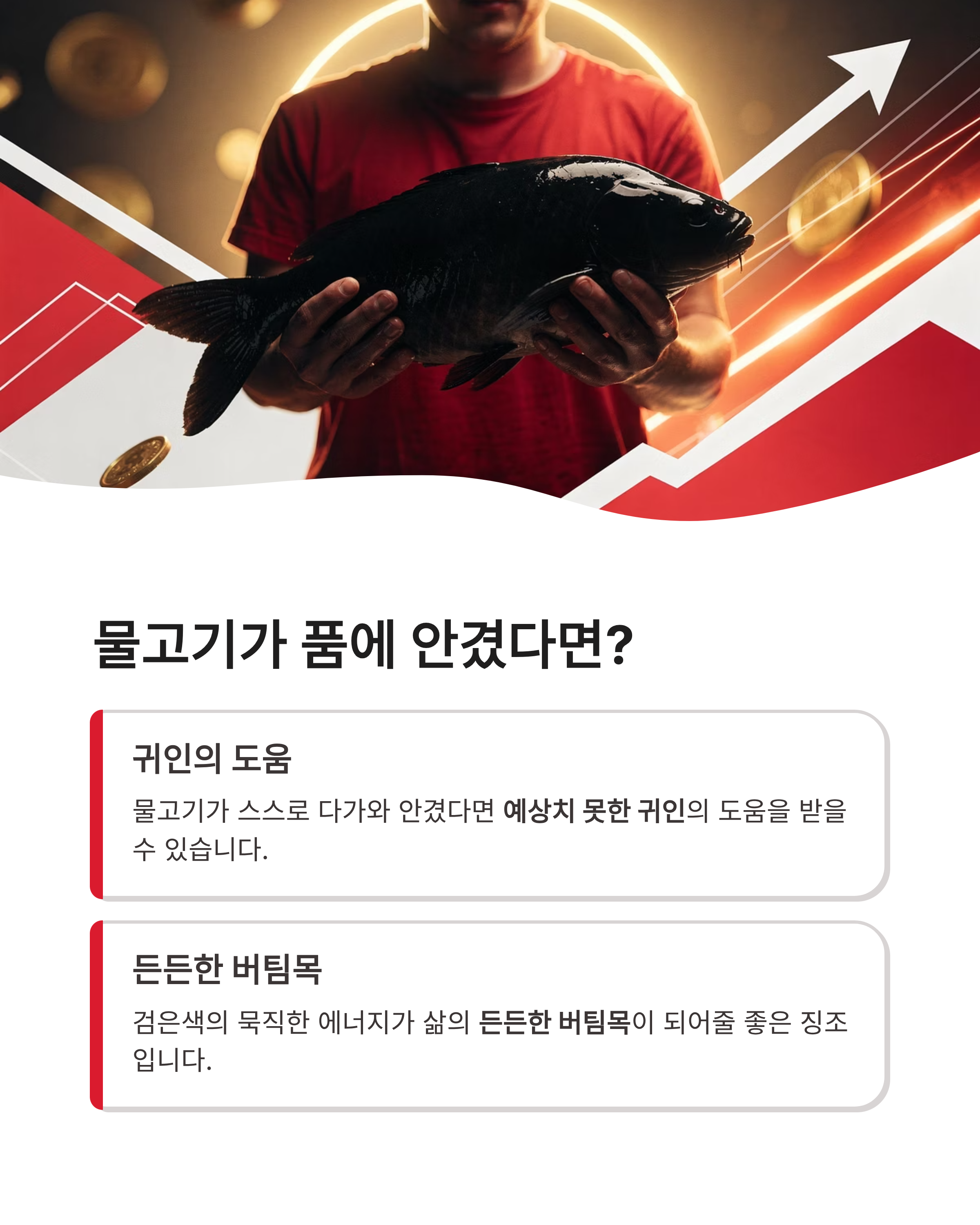 검은 물고기 꿈 해몽, 검은 물고기 태몽, 검은 물고기 꿈 요약 및 운세 가이드