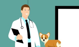 동물병원 진료비&amp;#44; 이젠 투명하게&hellip;8월부터 동물병원 진료비 공개 의무화!