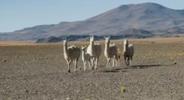 어린이날 축제 BEST 5, 국내여행지 추천