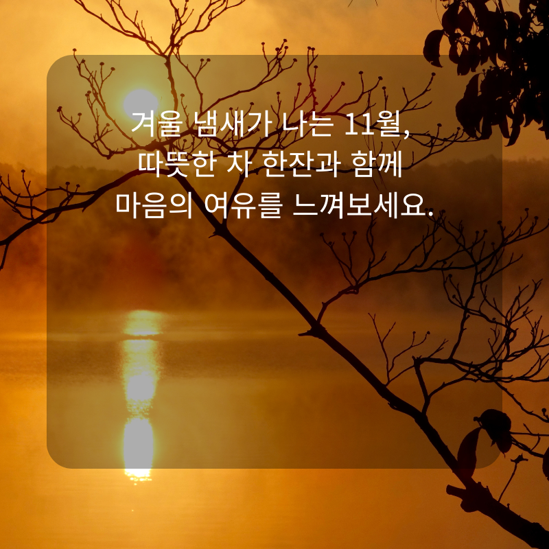 11월 인사말 문구 이미지 가을 겨울 인사글 모음집