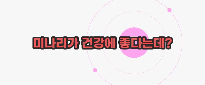 미나리 효능 지금부터 알아볼까요