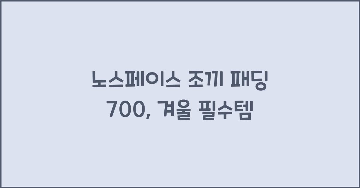 노스페이스 조끼 패딩 700