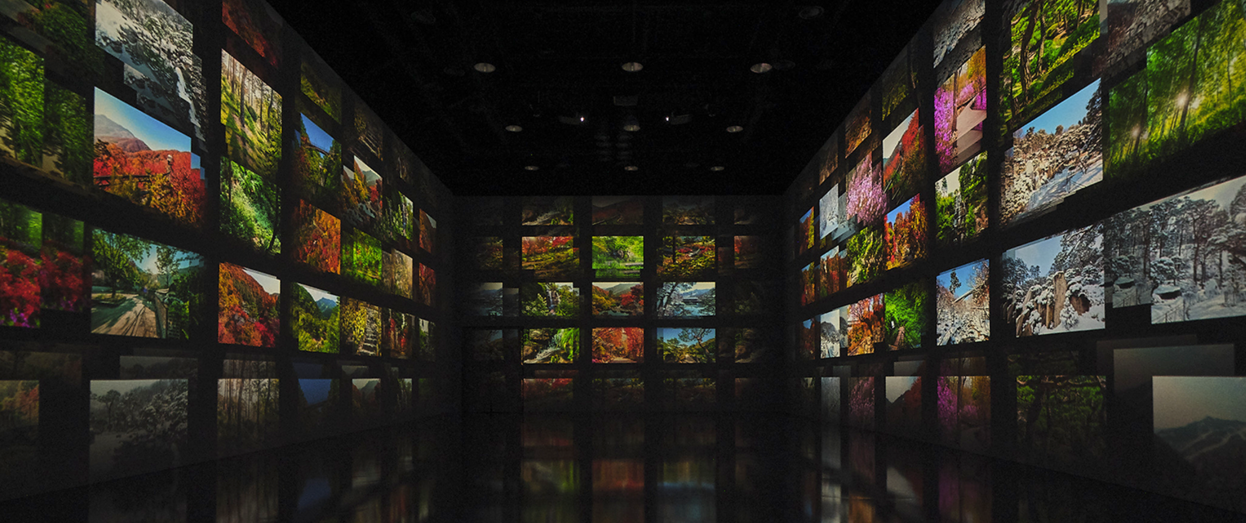 화담숲 사전예약 깔끔 한방정리!