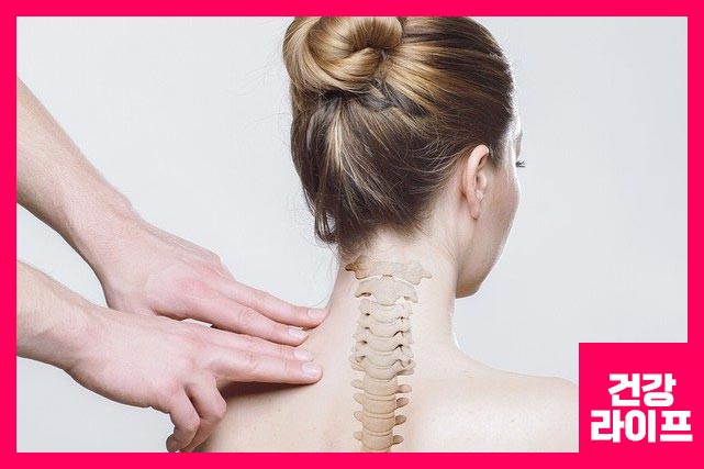 스트레칭, 근육 운동, 심혈관 운동