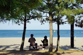 여름 경주 가볼만한곳 베스트 10 후기
