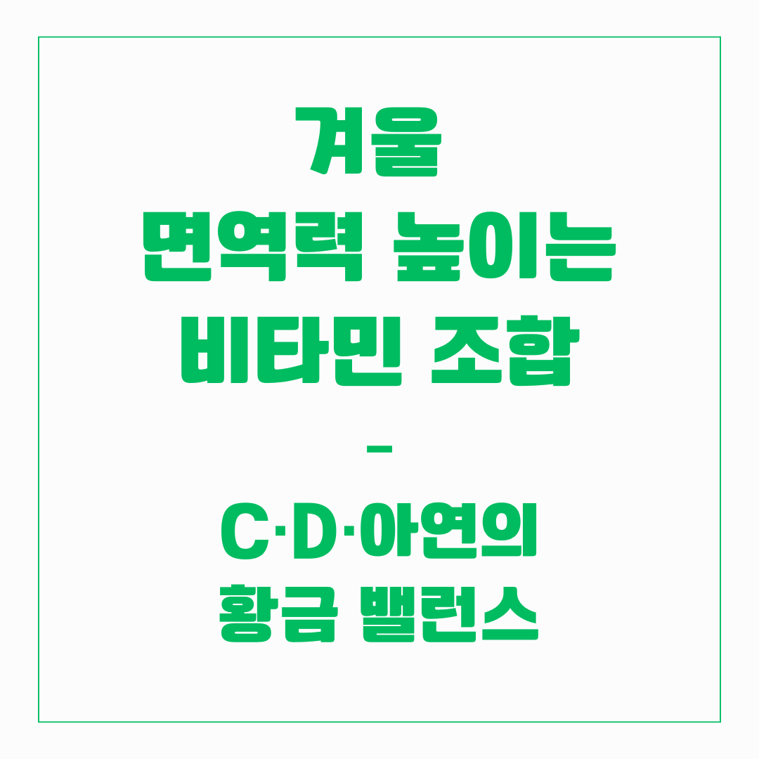 겨울 면역력 높이는 비타민 조합 – C·D·아연의 황금 밸런스