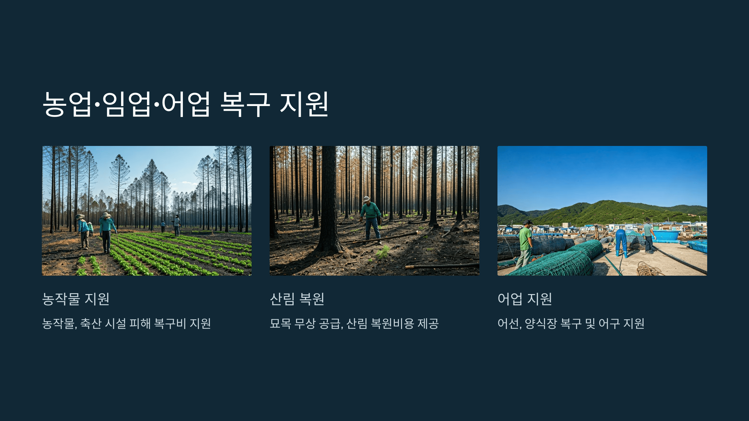 산불 특별재난지역 지정과 지원 총정리