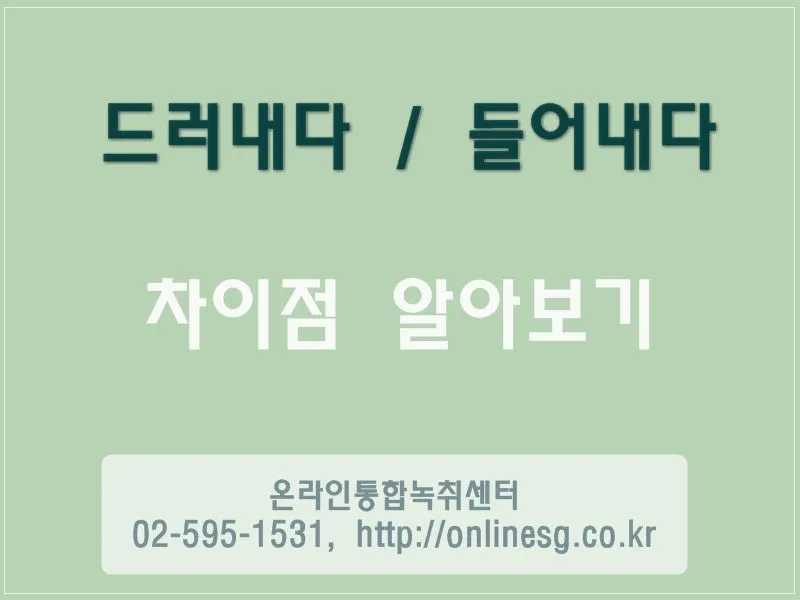 드러내다 들어내다 맞춤법 표현 예문_7