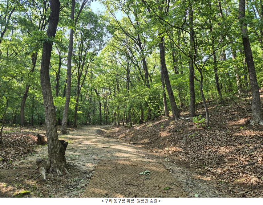 휘릉~원릉강 숲길