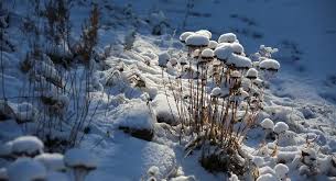 “노령연금 상담 전 꼭 알아야 할 5가지 질문|국민연금공단 상담 준비 가이드 (2026년 최신판)”