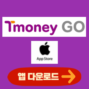 apple 티머니GO 앱 다운로드